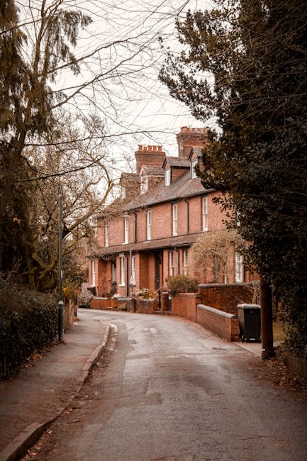 A quiet residential street with a narrow, slightly curved asphalt road bordered by low brick walls and wooden fencing. On the left side, a leafless tree extends its branches overhead, and on the right, tall evergreen trees grow adjacent to a row of red-brick terraced houses with pitched roofs, chimney stacks, and white-framed windows. The pavement is visible along both sides of the street, leading towards a set of steps near the entrance of one house. The scene is captured in natural daylight, suggesting late autumn or early winter. In the context of house removals by Man with Van New Addington, this setting could represent a typical location for home relocation or furniture transport services, with ample space for loading and unloading items in front of the property, where cardboard boxes, packing materials, or furniture might be temporarily placed during the move.